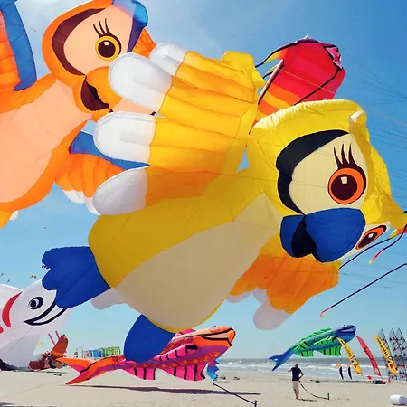 Vakantiehuis 3 Bedroom Cozy In Le Touquet Cucq